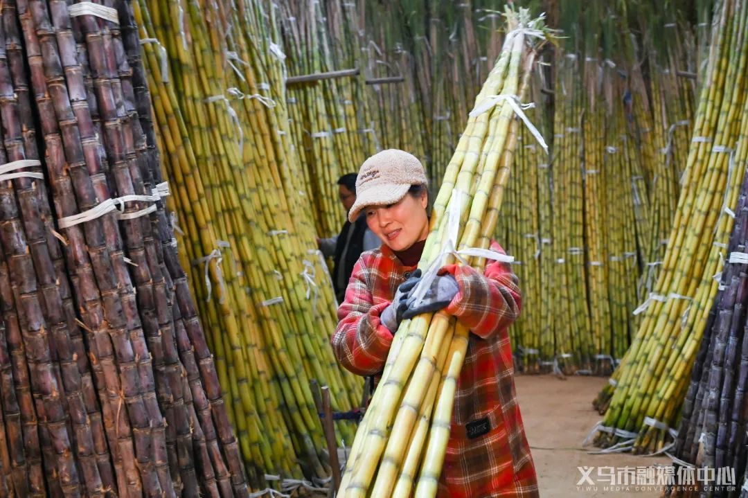 生意火爆!一天狂卖4000根!出现这些情况,千万别…… 生意火爆!一天狂卖4000根!出现这些情况,千万别……