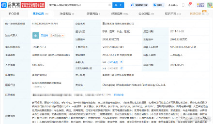 维修刺客啄木鸟公司欠税被公告