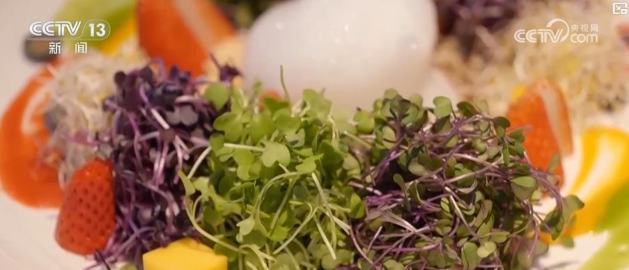 时令春菜丰富百姓餐桌 餐饮消费市场迎来“春”意盎然