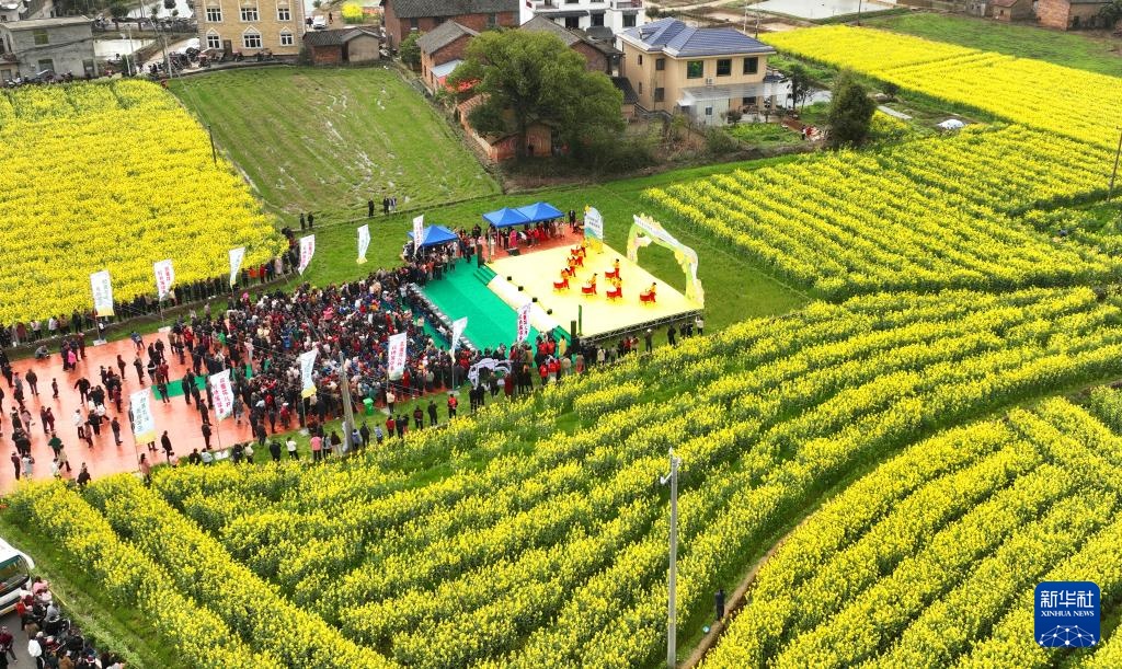 生态中国丨春日赏花正当时 生态中国丨春日赏花正当时