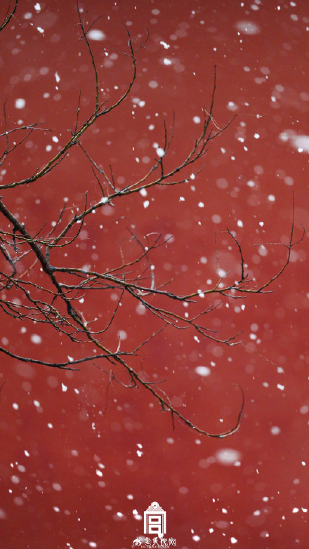 故宫蛇年初雪氛围感壁纸