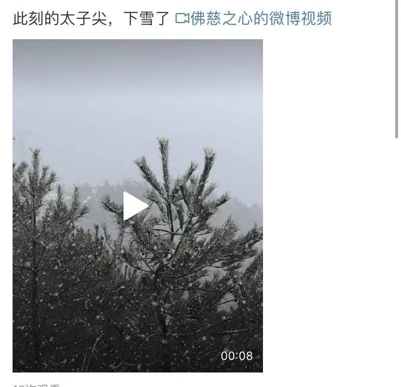 万万没想到！刚刚杭州下雪了！还有一个更猛的消息...