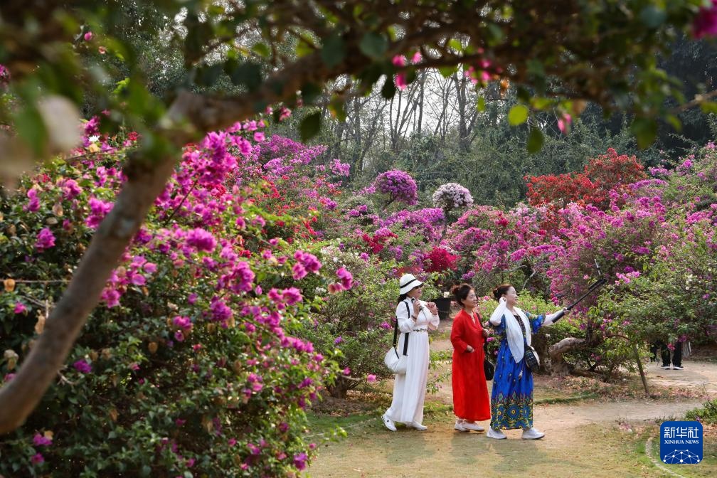 生态中国丨春日赏花正当时 生态中国丨春日赏花正当时