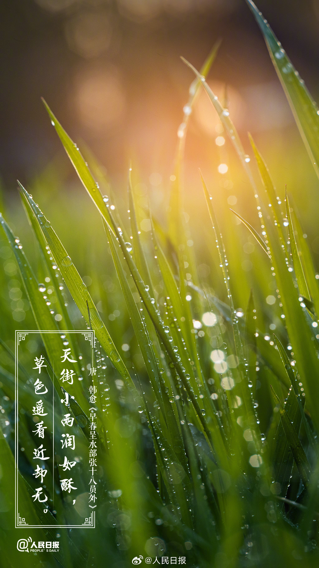 美!诗词里的春天是懂氛围感的 美!诗词里的春天是懂氛围感的