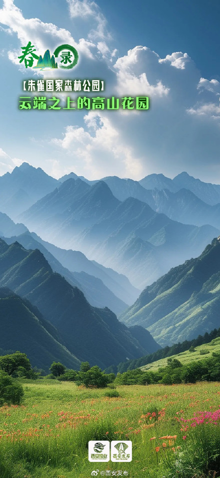 踏春山！这才是春天的正确打开方式