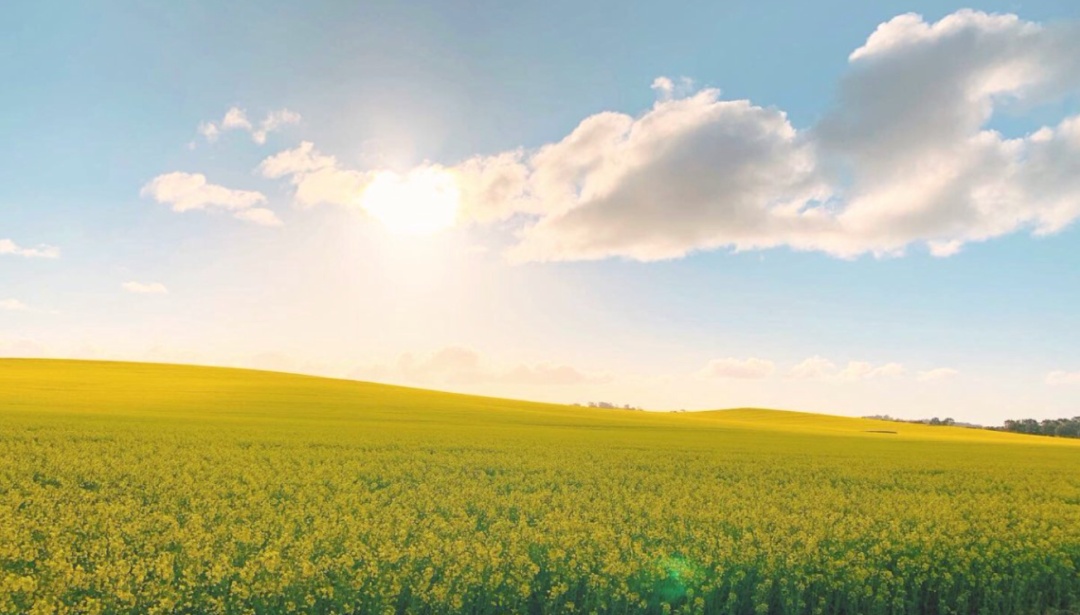在窗户旁晒太阳有没有用？要想起作用，晒太阳记住这一点！