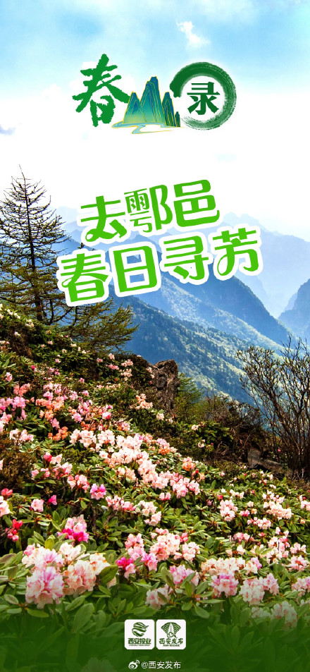踏春山！这才是春天的正确打开方式