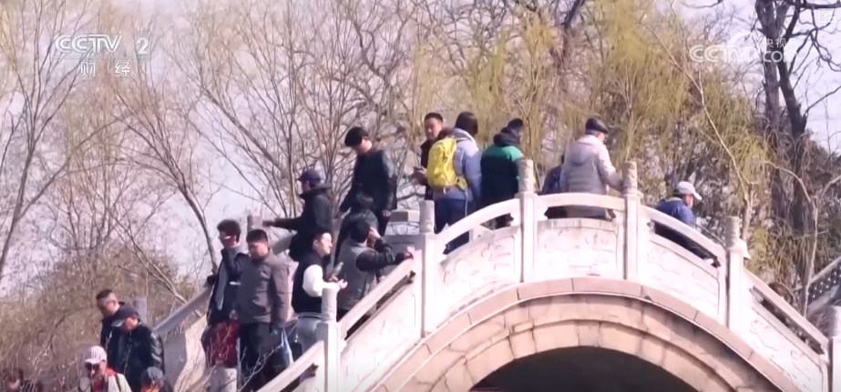 “春日盛景+限定美食” 花“香”盛“宴”点亮春经济