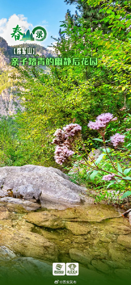 踏春山！这才是春天的正确打开方式