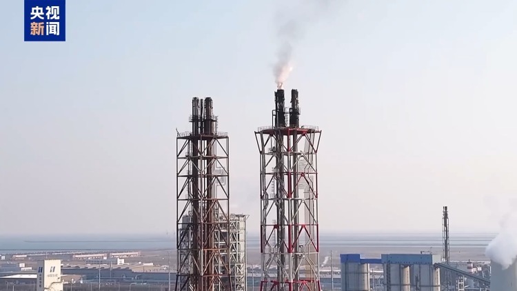 真相来了丨网传某地化工厂“火灾”?实为废气正常燃烧 真相来了丨网传某地化工厂“火灾”?实为废气正常燃烧