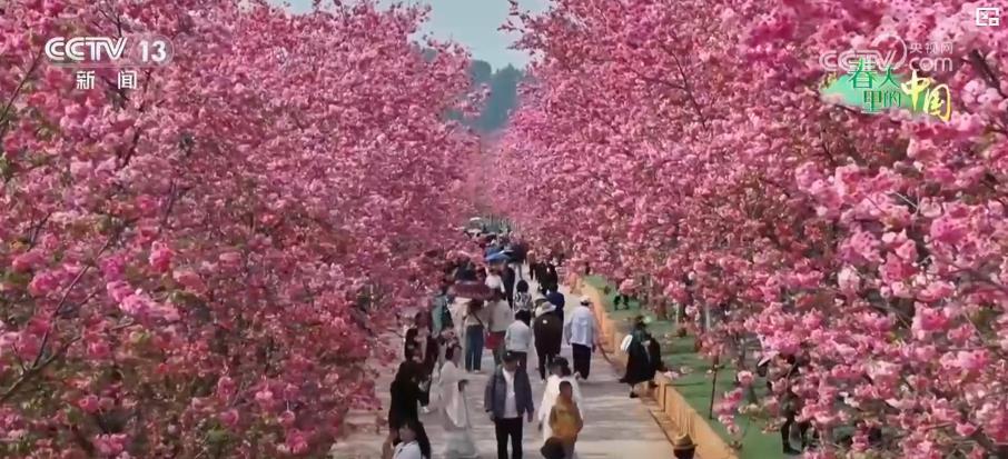 促就业 助增收 “美丽经济”推动乡村振兴加速跑