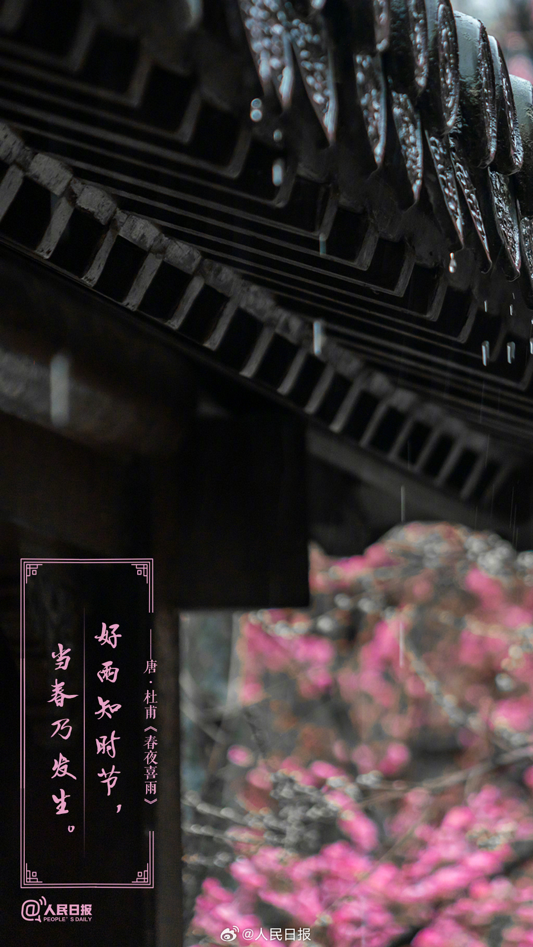 美!诗词里的春天是懂氛围感的 美!诗词里的春天是懂氛围感的