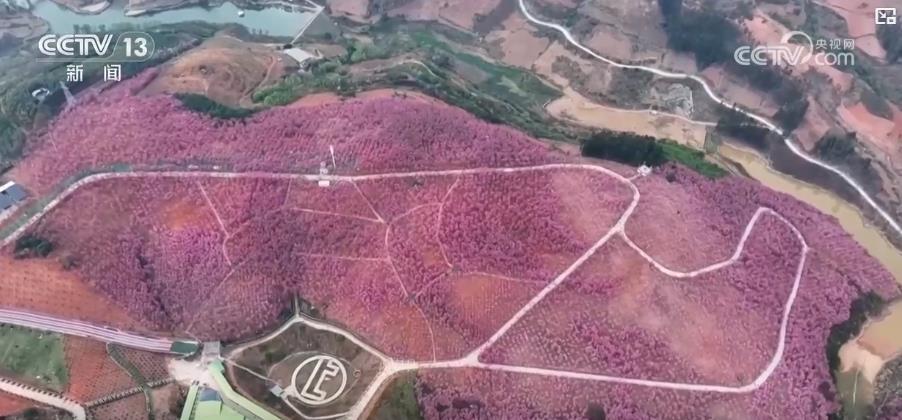 促就业 助增收 “美丽经济”推动乡村振兴加速跑