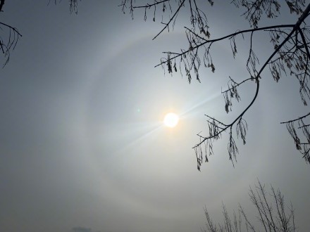 快看！辽宁铁岭等地出现日晕景观