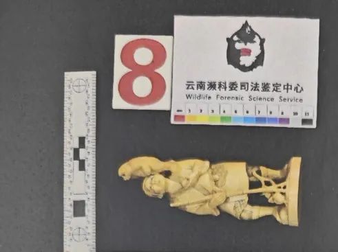 文玩店老板海淘进货竟变走私!北京法院判了 文玩店老板海淘进货竟变走私!北京法院判了