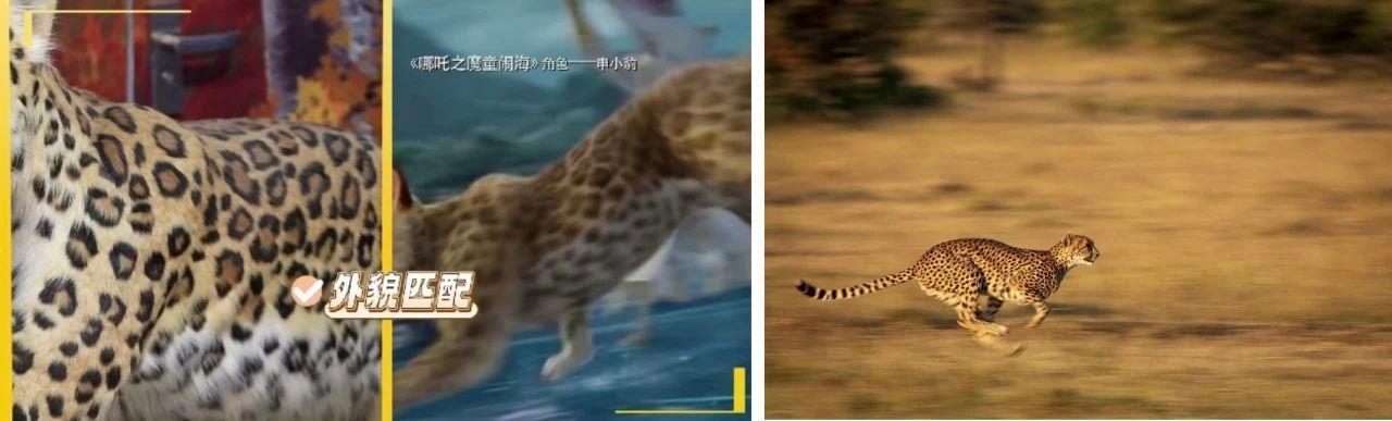 《哪吒2》里申公豹一家究竟是什么豹? 《哪吒2》里申公豹一家究竟是什么豹?