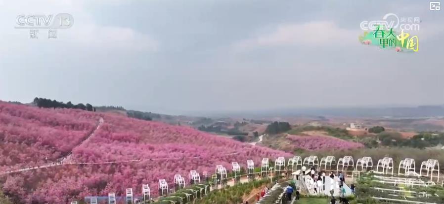 促就业 助增收 “美丽经济”推动乡村振兴加速跑