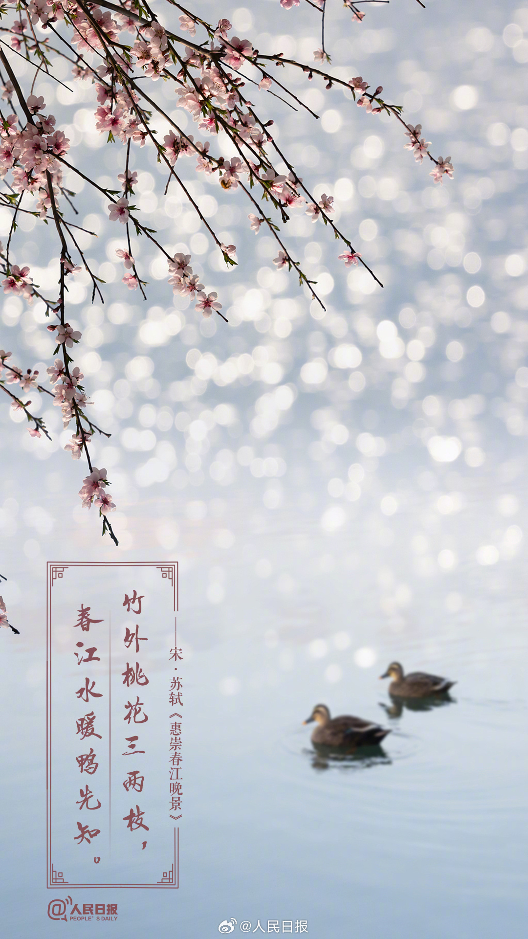 美!诗词里的春天是懂氛围感的 美!诗词里的春天是懂氛围感的