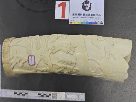 文玩店老板海淘进货竟变走私!北京法院判了 文玩店老板海淘进货竟变走私!北京法院判了