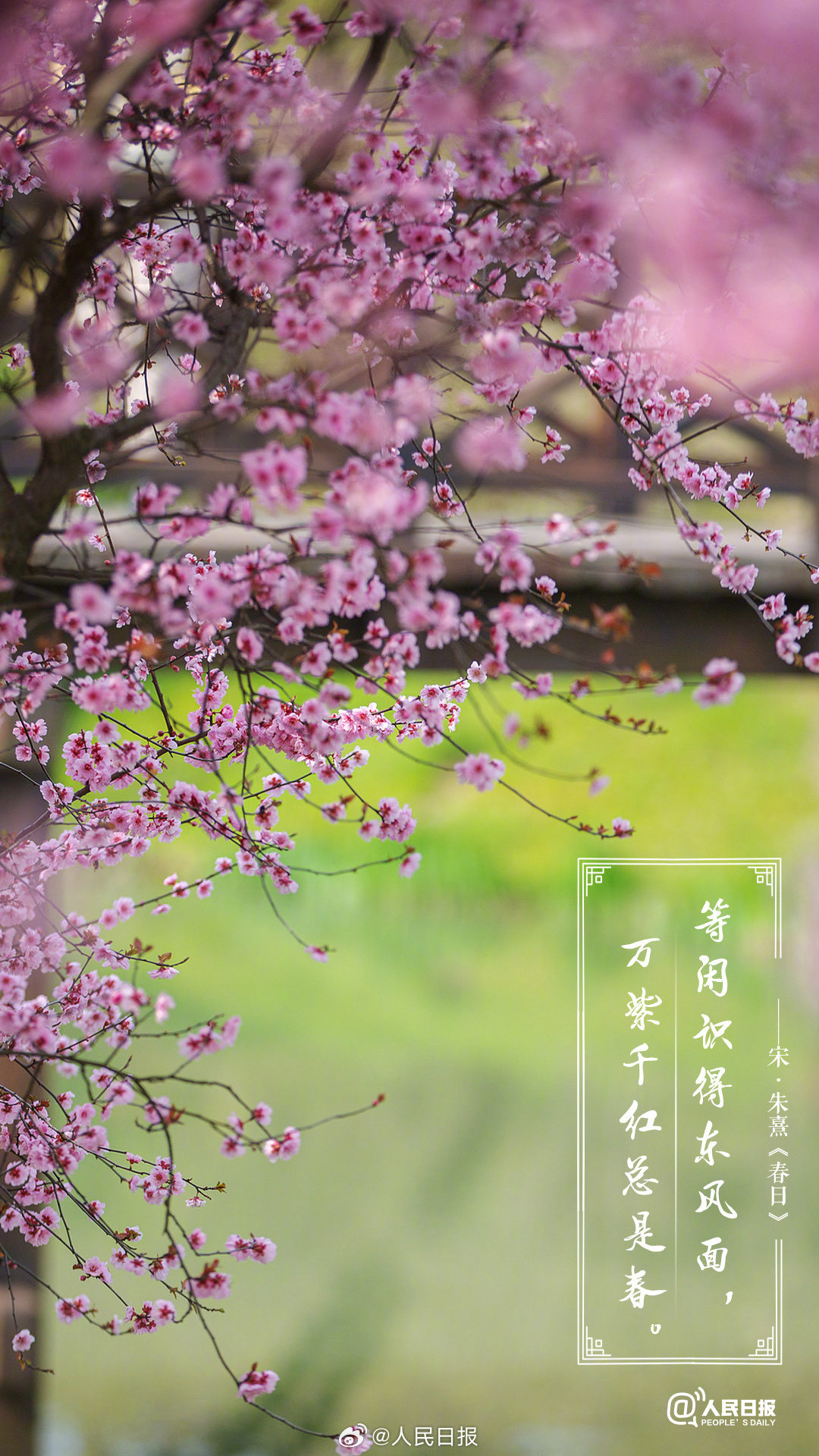 美!诗词里的春天是懂氛围感的 美!诗词里的春天是懂氛围感的