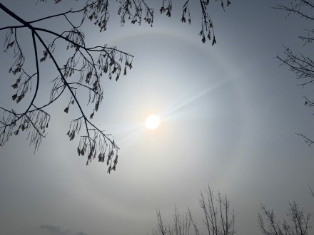 快看！辽宁铁岭等地出现日晕景观