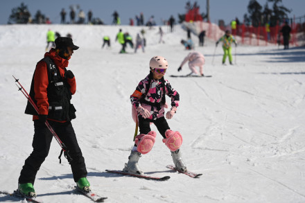 2024年全国体育场地统计调查数据公布 2024年全国体育场地统计调查数据公布