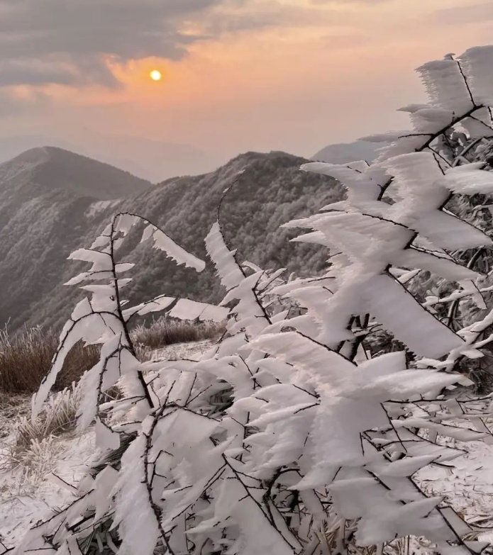 冲破30℃！刚刚确认，杭州大反转！持续9天