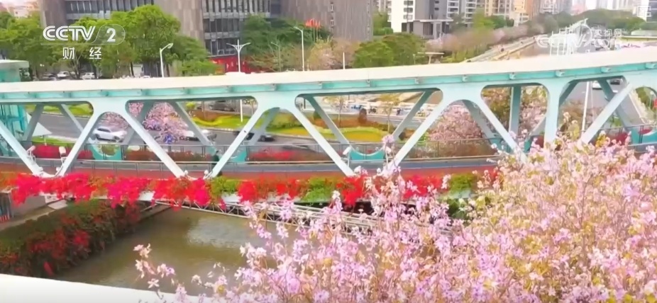 “春日盛景+限定美食” 花“香”盛“宴”点亮春经济