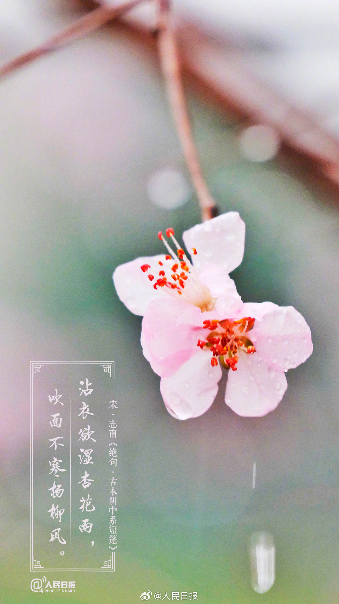 美!诗词里的春天是懂氛围感的 美!诗词里的春天是懂氛围感的