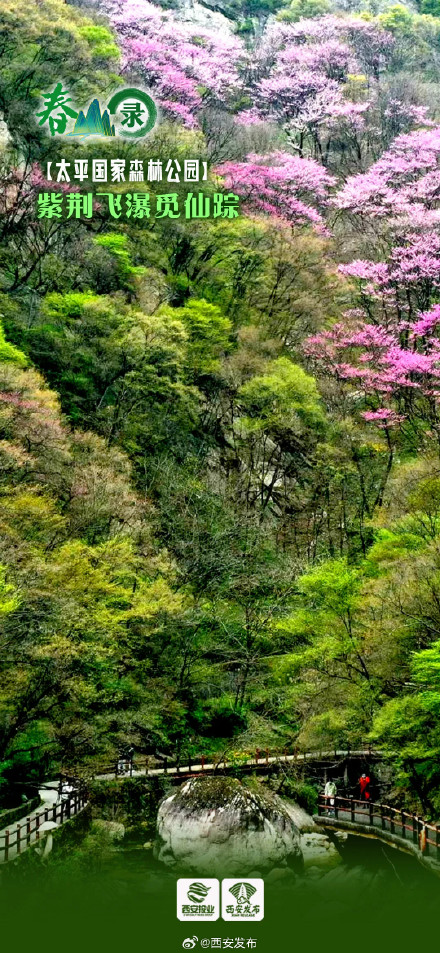 踏春山！这才是春天的正确打开方式