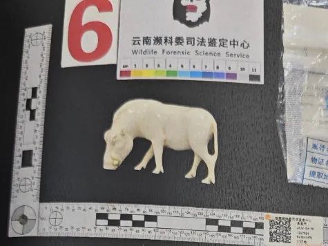 文玩店老板海淘进货竟变走私!北京法院判了 文玩店老板海淘进货竟变走私!北京法院判了