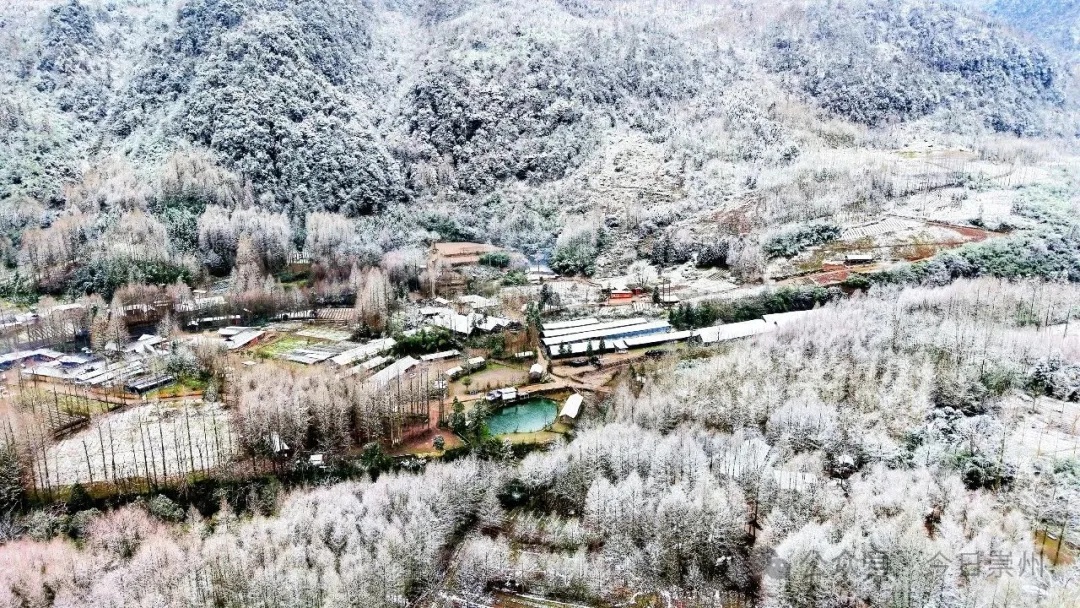 四川撤回了一个春天并下了一场雪