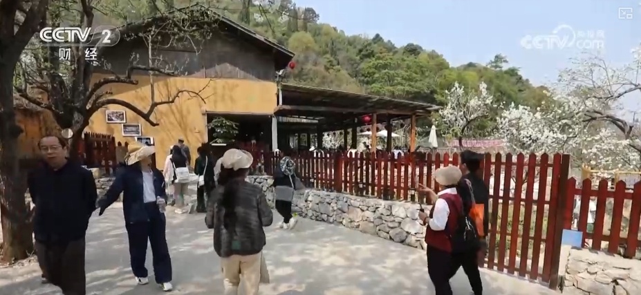 “春日盛景+限定美食” 花“香”盛“宴”点亮春经济