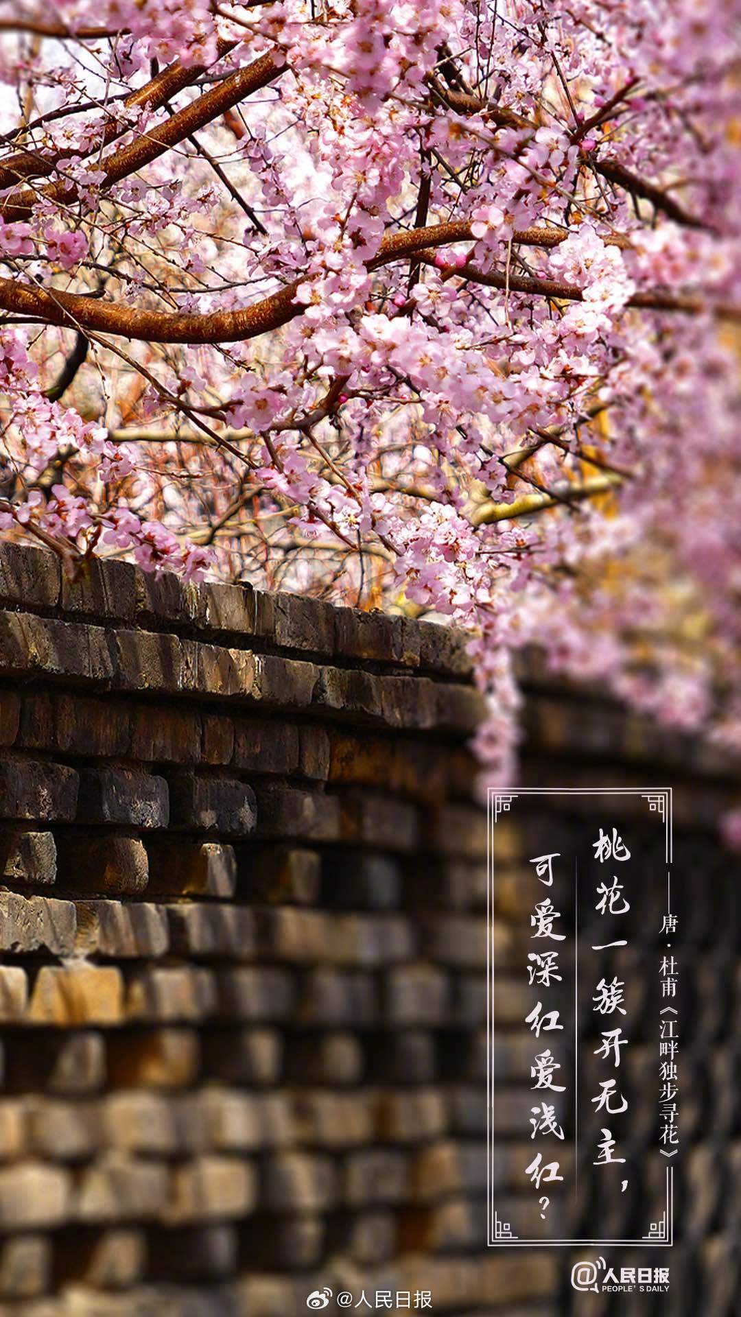 美!诗词里的春天是懂氛围感的 美!诗词里的春天是懂氛围感的