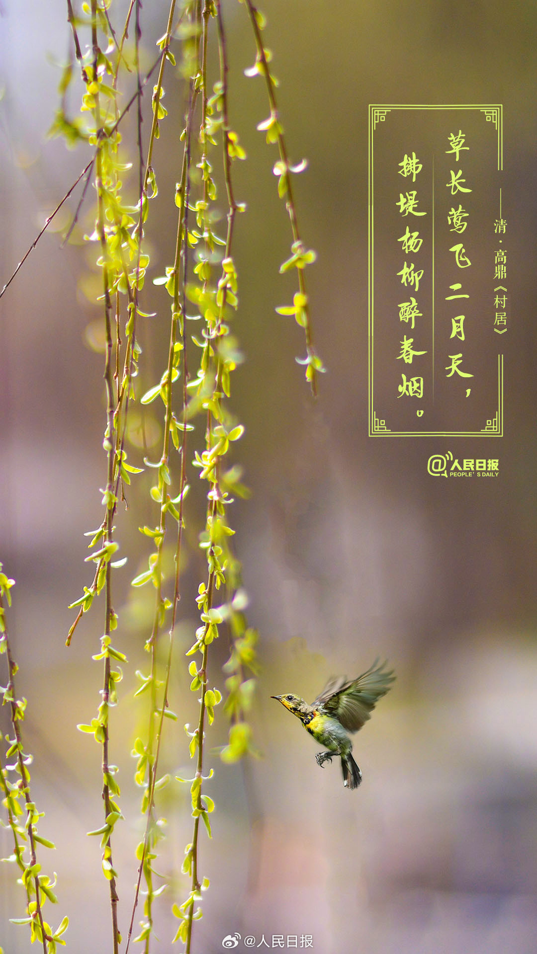 美!诗词里的春天是懂氛围感的 美!诗词里的春天是懂氛围感的