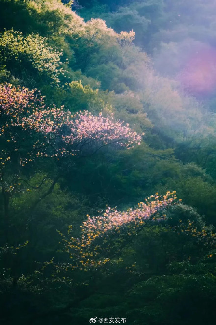 踏春山！这才是春天的正确打开方式