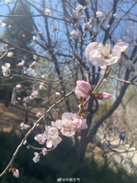 北京紫竹院：碧波晴空 春意盎然