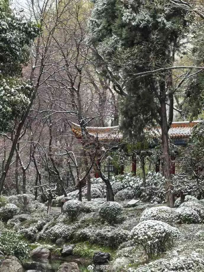 下雪了！体感温度-1℃！云南多地发布道路结冰、寒潮预警