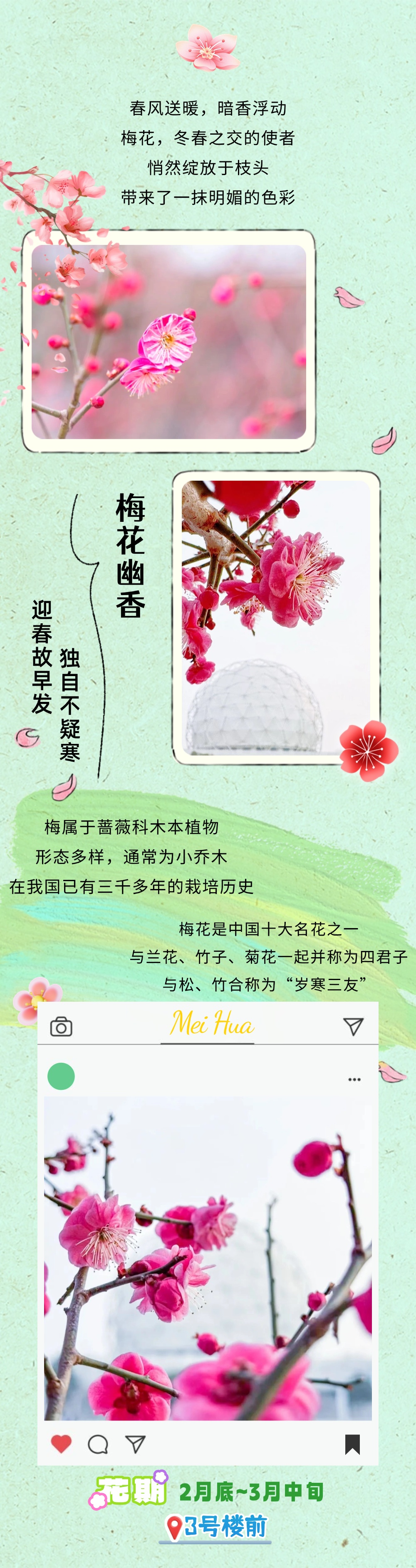 镜头下的北京科学中心 | 春日赏花图鉴