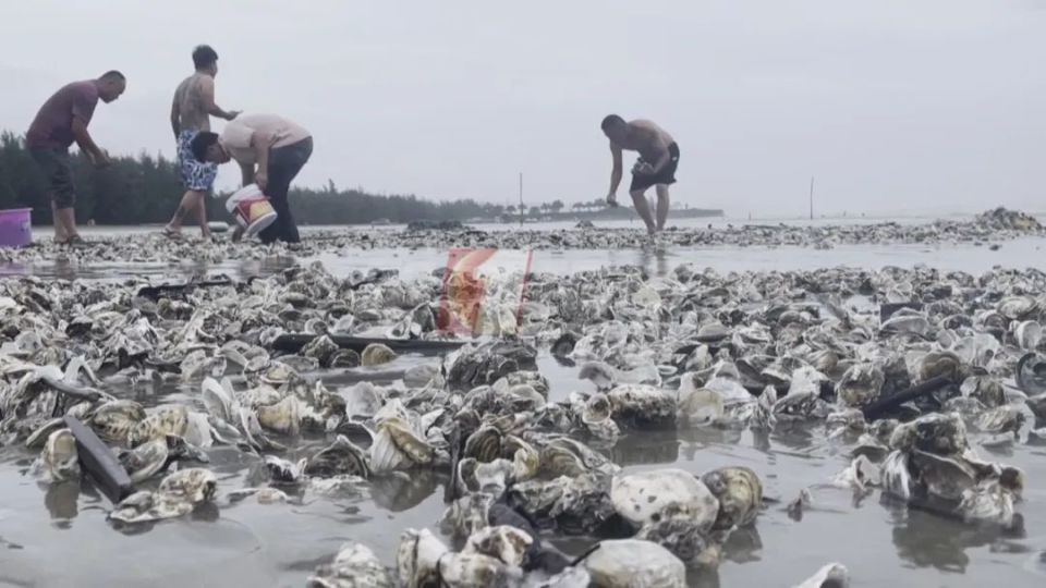 下厨处理海鲜，手肿成了“包子”？