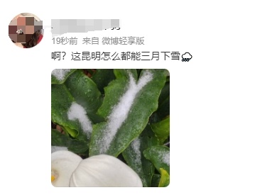 下雪了！体感温度-1℃！云南多地发布道路结冰、寒潮预警