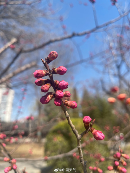 北京紫竹院：碧波晴空 春意盎然