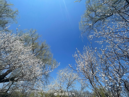 北京紫竹院：碧波晴空 春意盎然