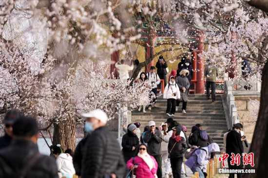 北京：颐和园西堤山桃花盛开引客来