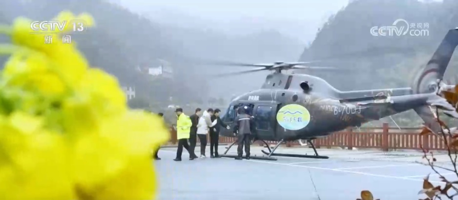 低空赏花、竹排泛舟……春日经济“金”满地 沉浸式体验“花漾生活”