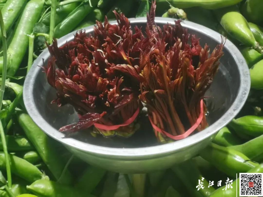 百元一斤！武汉正大量上市，降价要等到——