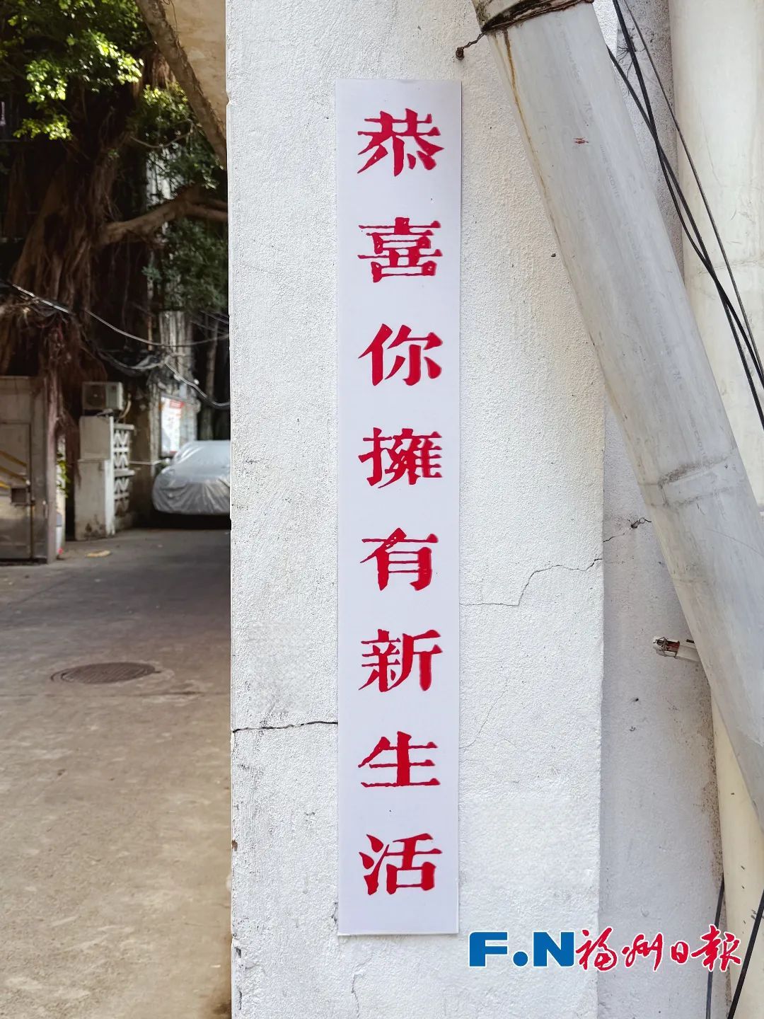 “社恐”在福州开了家店，火了！好多人都去→