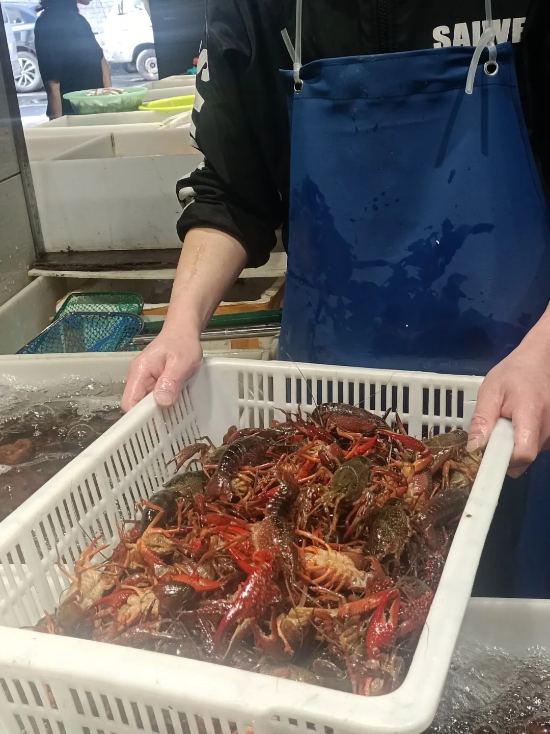 贵的65元/斤!很多浙江人爱吃,即将大量上市!有老板一天卖1000斤...... 贵的65元/斤!很多浙江人爱吃,即将大量上市!有老板一天卖1000斤......