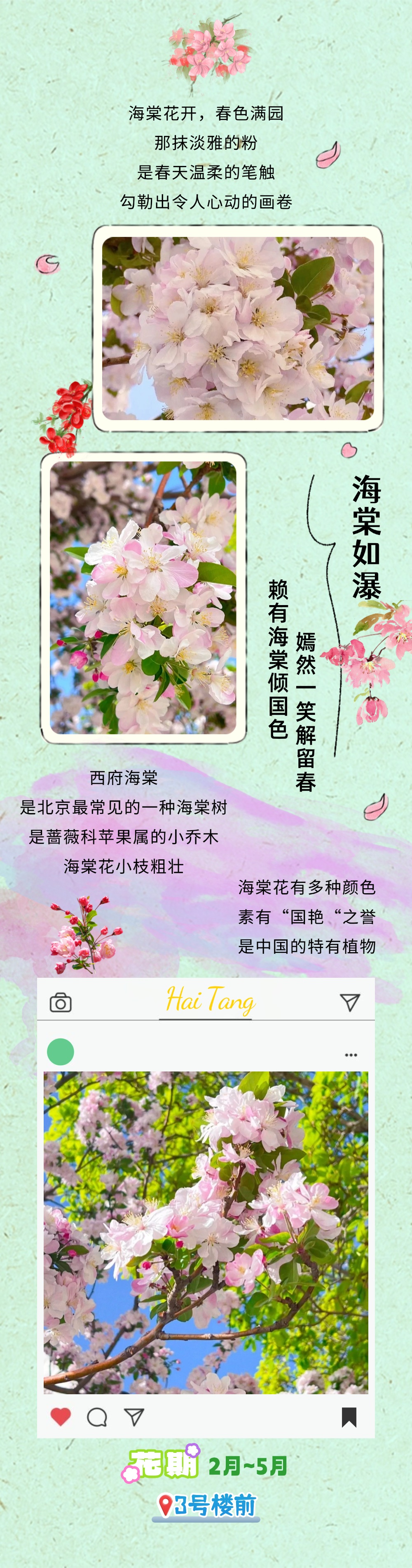 镜头下的北京科学中心 | 春日赏花图鉴
