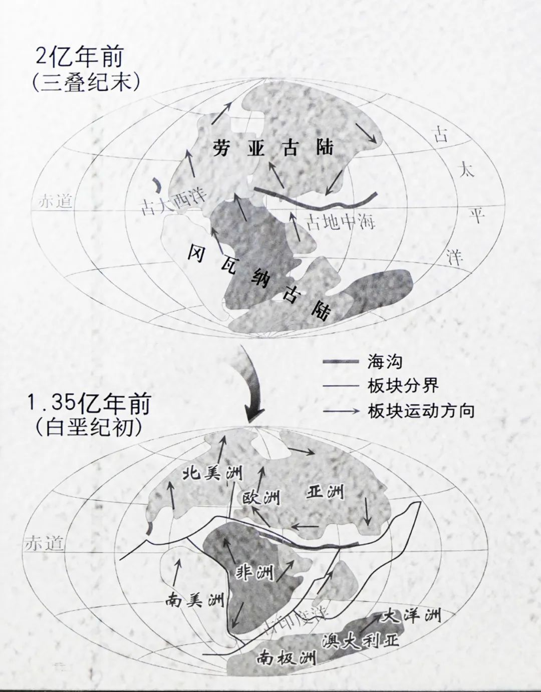 展项拾趣丨大陆漂移:探索地球“拼图”的奥秘 展项拾趣丨大陆漂移:探索地球“拼图”的奥秘